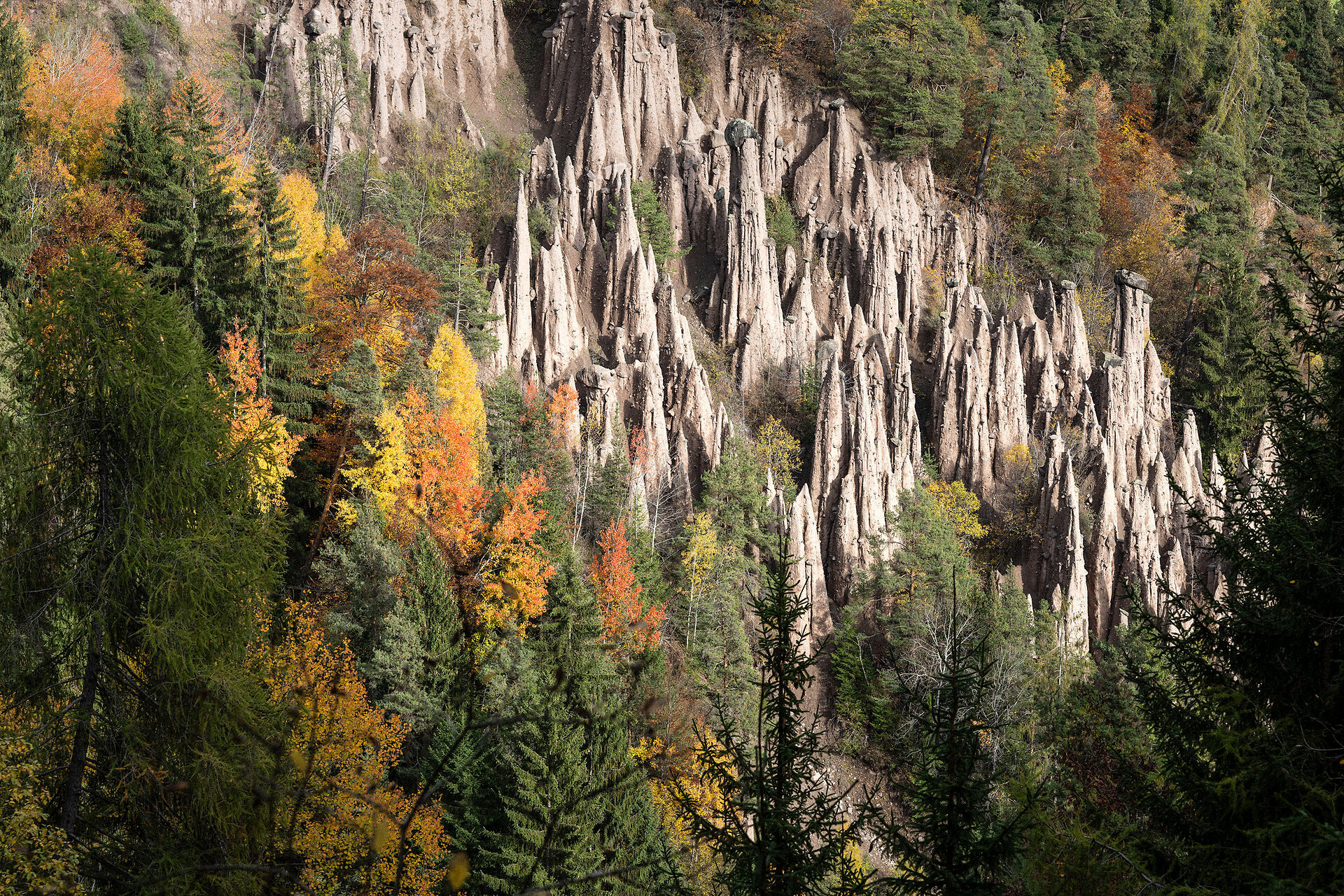 Erdpyramiden am Ritten in herbstlichen Farben
