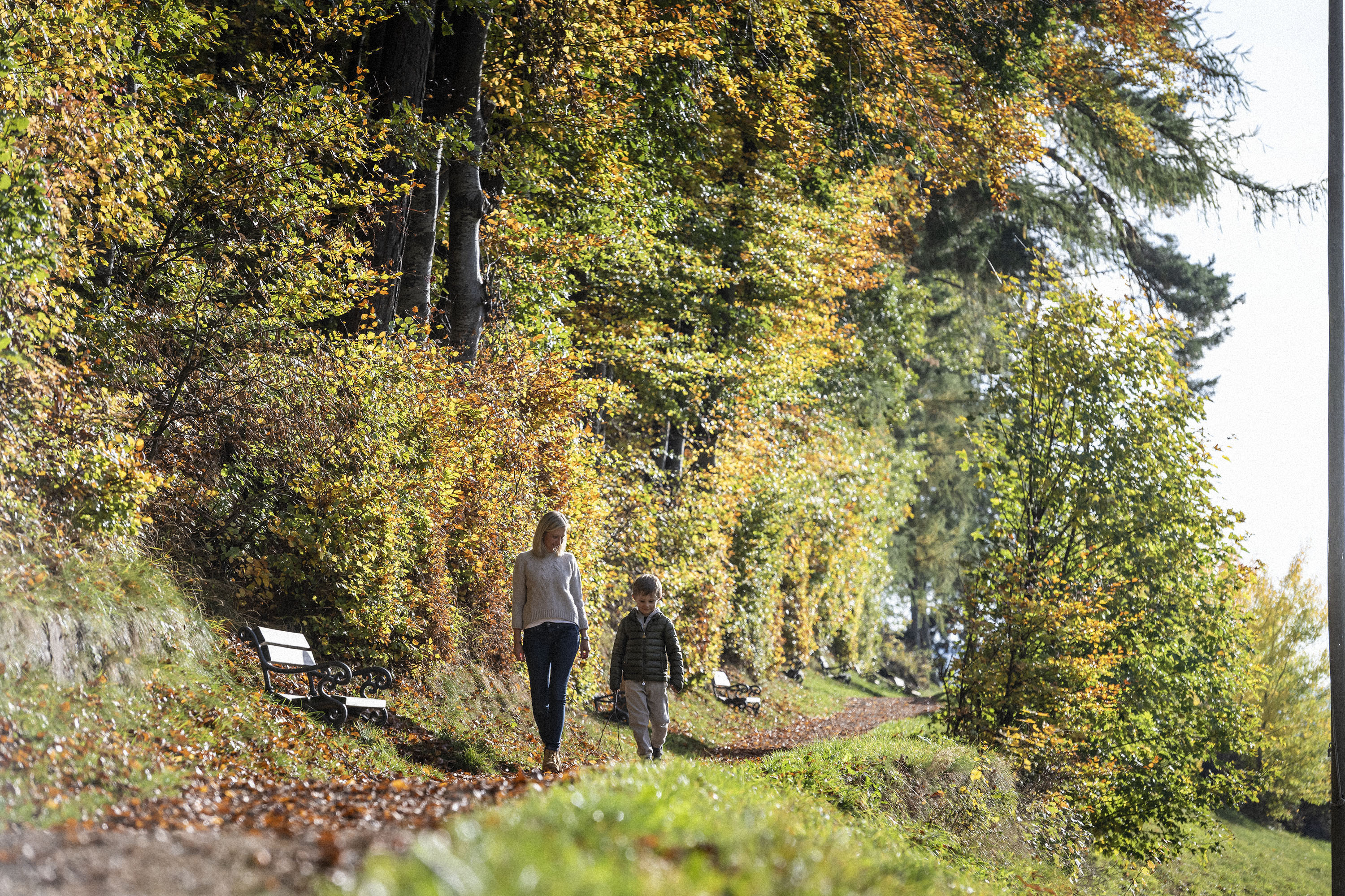 Spaziergang durch den Herbstwald am Ritten