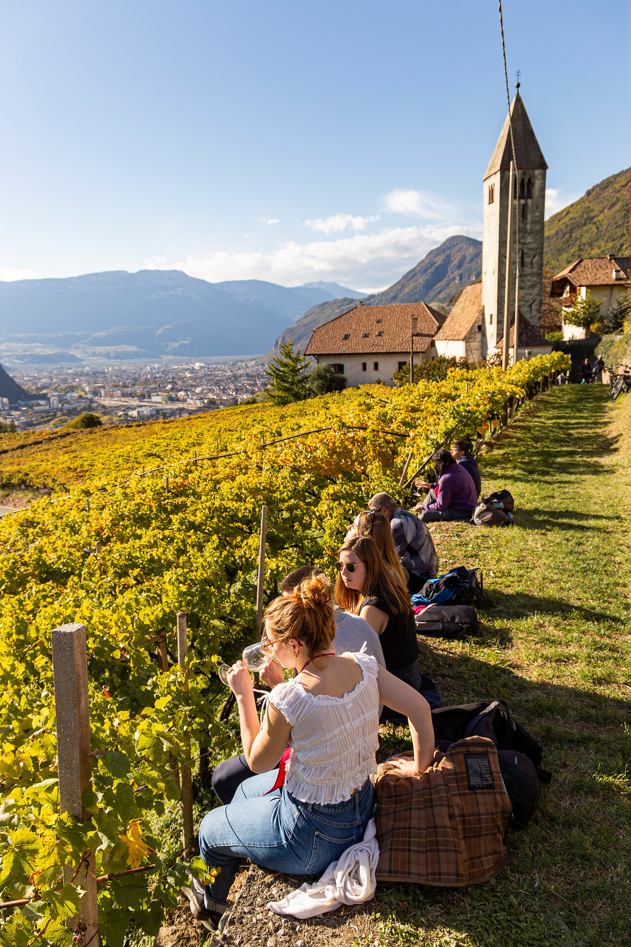 Herbstliche Weinberge in Südtirol