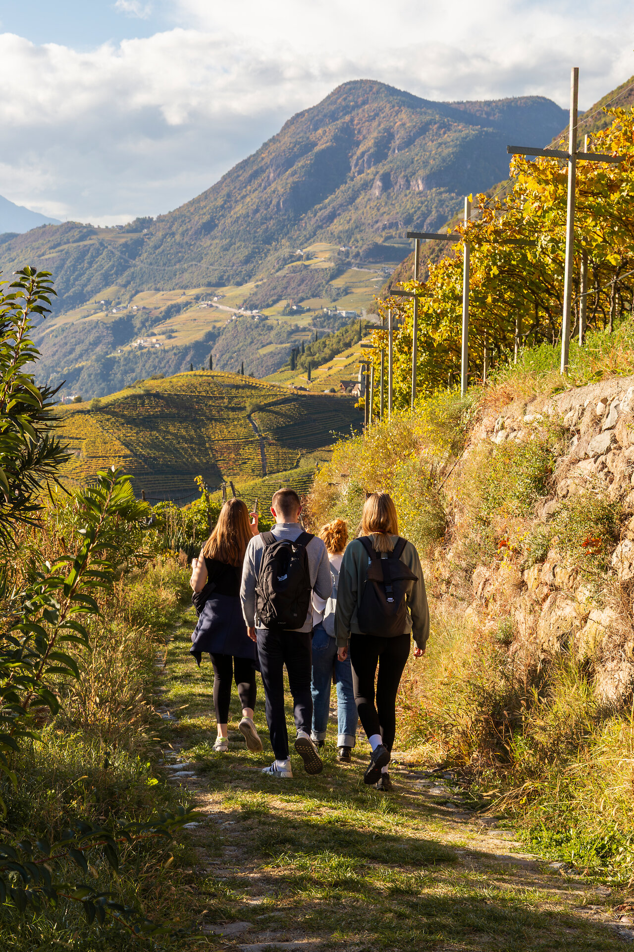 Weinwanderung im Herbst